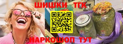 индика Новодвинск