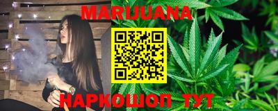 индика Новодвинск