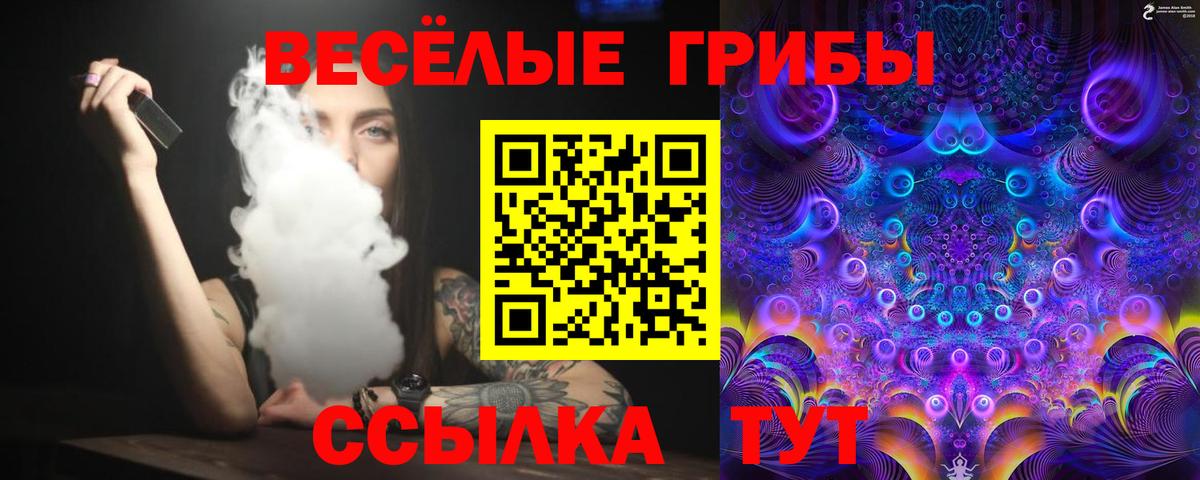 Псилоцибиновые грибы Psilocybe  Вход с VPN  Сегежа  Псилоцибиновые грибы MAGIC MUSHROOMS 